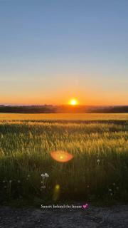Natures Loft - Darlington - 2