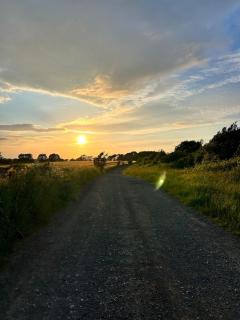 Natures Loft - Darlington - 1
