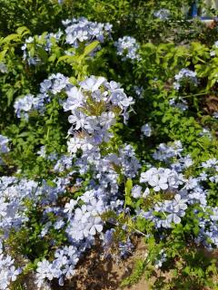 Casa del Nespolo - 3