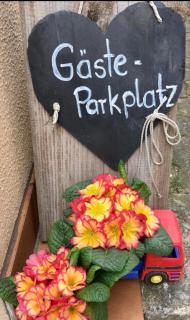 Apartment mit Gartenblick - Eckersdorf - 8