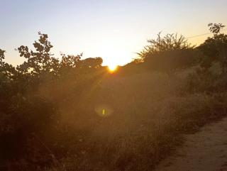Shalakwe Hills-Inn Guesthouse Kasane - Kasane - 8
