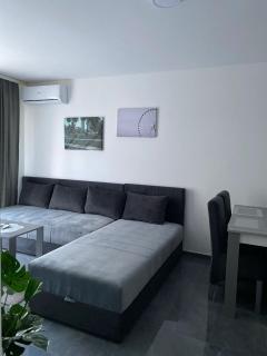 Prenoćište SILVER LUX Srebrno Jezero 10 - Veliko Gradište - 7
