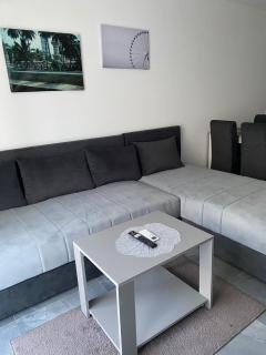 Prenoćište SILVER LUX Srebrno Jezero 10 - Veliko Gradište - 3