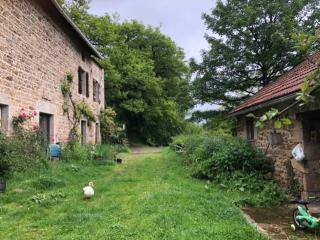 Les Abeilles - Eymoutiers - 2