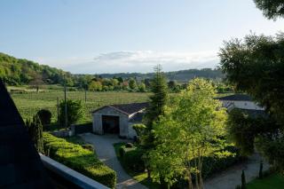 Château Lacoste Pujols - Pujols Gironde - 3