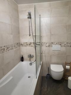 Beautiful Studio - Geneva Airport - Ferney-Voltaire - 4