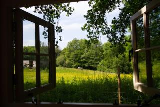 Large New Forest Shepherds Hut - Moffat - 6