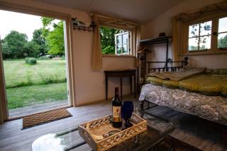 Large New Forest Shepherds Hut - Moffat - 3