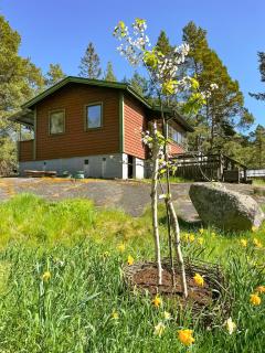 Ferien auf Husarö, Ullas Haus - - 2