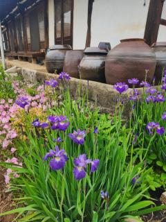 Hanok Soeun House - Miryang - 7