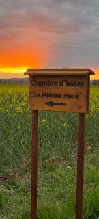 Chambre d'hôte - Revel - 8