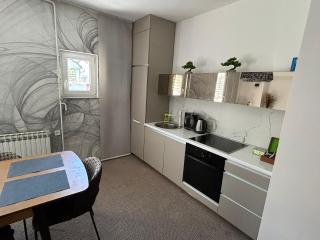 Deluxe residence EA - with garage - Sarajevo - 4