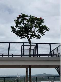 Cozy 2BR near KLIA-Mitsui-F1-Xiamen-GamudaCove, Horizon Suites by YC - Kampung Dengkil - 3