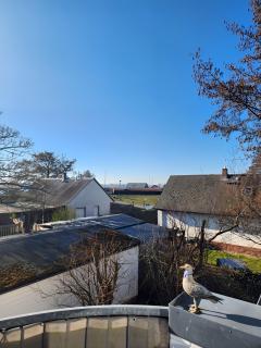 Boddenkieker 03 - Zingst - 6