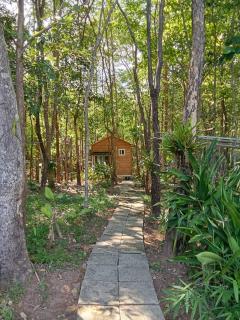 Forest Park Resort สังคม หนองคาย - Sangkhom - 8