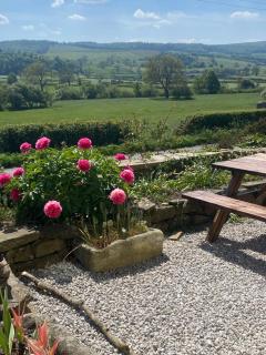 4 beds, private parking, gr fl bedroom & shower WC - Wensley - 0