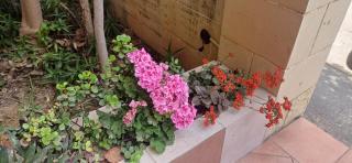 Cosy spacious maisonette - Marsaskala - 8