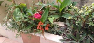 Cosy spacious maisonette - Marsaskala - 5
