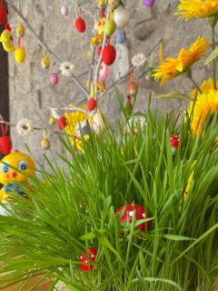NOY Guest House B&B - Vanadzor - 9