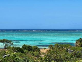 Shungi Villa Zanzibar - Tongoni - 4