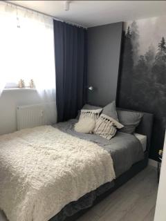 BLUE Apartament Park Śląski - 1