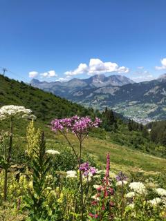 Le Chalet 138 Megève - Demi-Quartier - 9