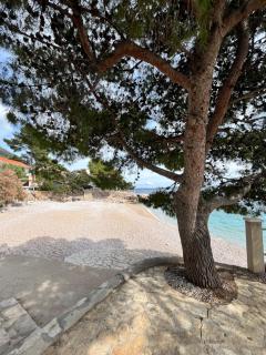 Apartmani "Nikola" Seaview - Ivan Dolac, Hvar - Ivan Dolac - 7