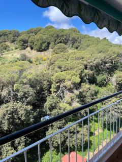 Flat with birdsongs & character! - 8