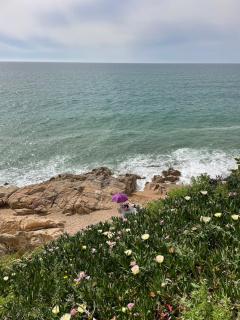 Flat with birdsongs & character! - 3