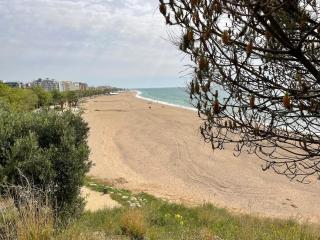 Flat with birdsongs & character! - 1