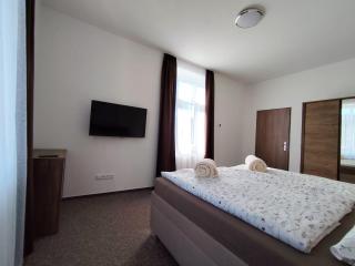 Apartmán u lázní - Lipová-lázně - 3