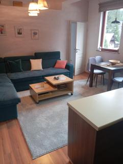 Apartman 1 Zlaja Vlašić - Vlasic - 9