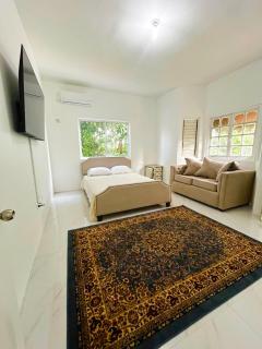 Luxury New Kingston 3 bed 2 Bath - 4