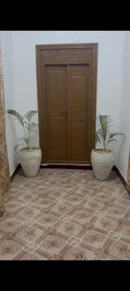 RastaGardners - Città di Zanzibar - 4