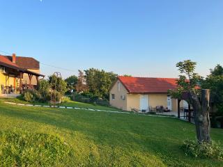 Oaza Mira Vrdnik - Vrdnik - 9