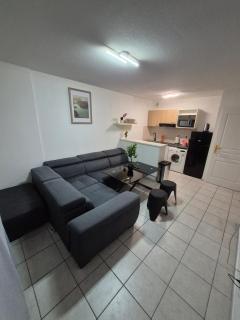 Appartement proche de Genève - 0