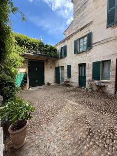 Appartement RDC avec parking en intra-muros - Avignon - 7