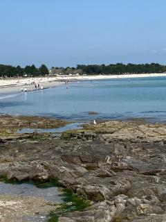 Camping Le Bois D'Amour - Île-Tudy - 4