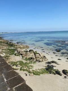 Camping Le Bois D'Amour - Île-Tudy - 0