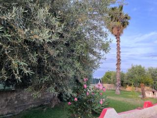 Villa Valentina casa vacanze fontane Bianche - 9