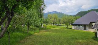 Drijenak Nature Escape - Kolašin - 7