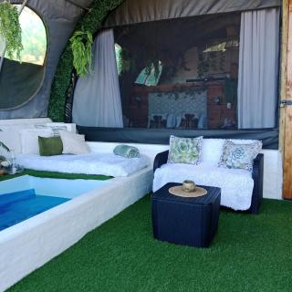 The Jolly Joint Clarens - 7