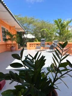 Aquila apartments Martinique - Willemstad - 8