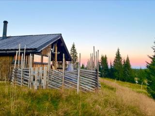 Modern mountain cabin Ski in-out 2 Bathrooms - Ringsaker - 0