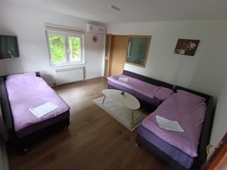 Saraj heights house - Sarajevo - 5