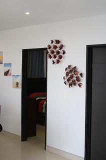 Surf house - - 9