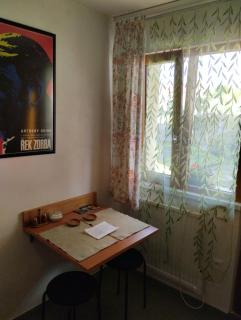 Malé útulné studio s koupelnou a kuchyňkou - 1