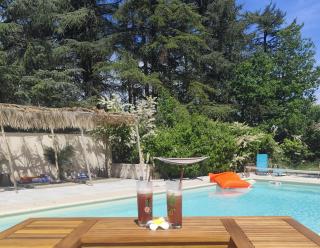 Ile des Plaisirs, Chambres d'Hôtes Naturistes avec Petit-Déjeuner Tropical Inclus - Graulhet - 9
