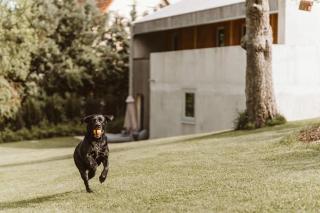 Ferienhaus TierbachLodge - Herrentierbach - 4