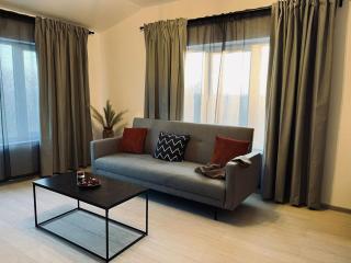 AmurResidence Ap3 Barbeque Airport&Parking - Iaşi - 8